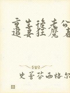 重生后老公成了追妻狂魔 春司竹