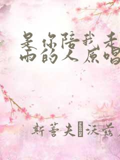 是你陪我走过风雨的人原唱