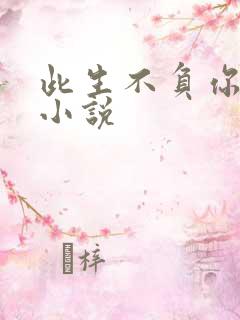 此生不负你情深小说