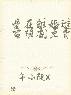 爱在离婚进行时电视剧免费看