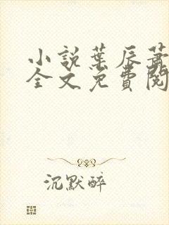 小说叶辰萧初然全文免费阅读