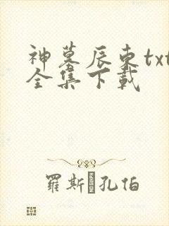 神墓辰东txt全集下载
