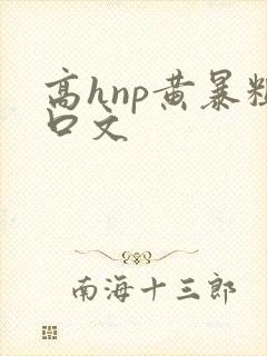 高hnp黄暴粗口文