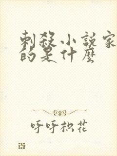 刺杀小说家2讲的是什么