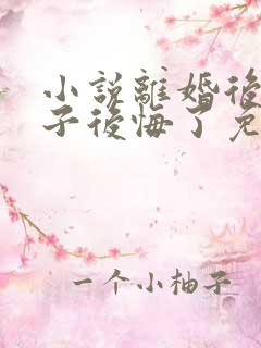 小说离婚后,妻子后悔了免费阅读