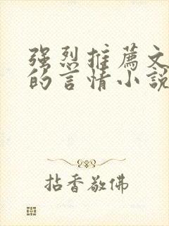 强烈推荐文笔好的言情小说