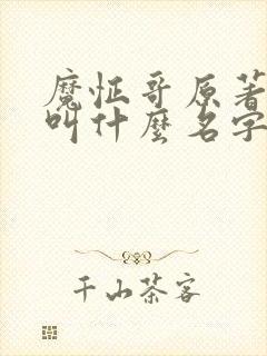 魔怔哥原著小说叫什么名字啊