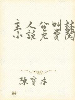 主人公叫林天的小说免费阅读都市之