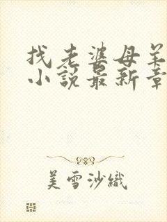 找老婆母羊为妻小说最新章节阅读