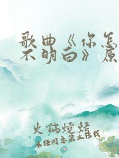 歌曲《你怎么就不明白》原唱