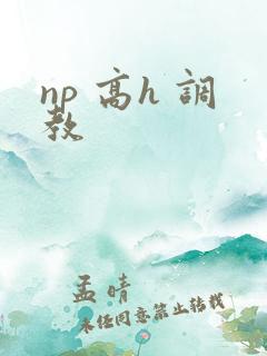 np 高h 调教