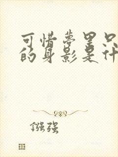 可惜梦里只有你的身影是什么歌