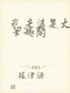 我老婆是大明星笔趣阁