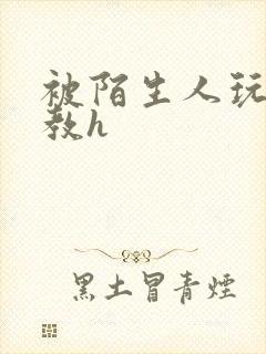 被陌生人玩弄调教h