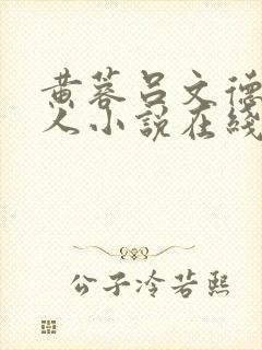 黄蓉吕文德十夫人小说在线阅读