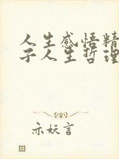 人生感悟精辟句子人生哲理