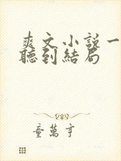 爽文小说一口气听到结局