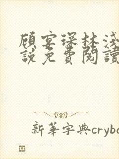 顾宴琛林浅月小说免费阅读最新章节