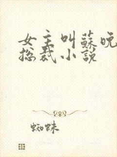 女主叫苏晚晴的总裁小说