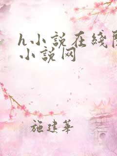 h小说在线阅读小说网