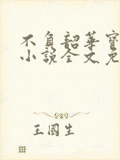 不负韶华宝妆成小说全文免费阅读