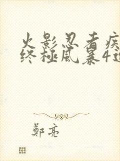 火影忍者疾风传终极风暴4进不去