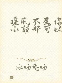 暖风不及你情深小说哪可以找到