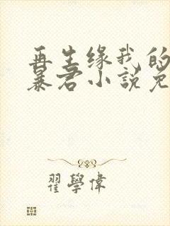 再生缘我的温柔暴君小说免费阅读