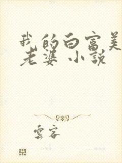 我的白富美总裁老婆 小说