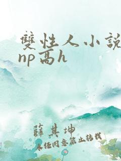 双性人小说纯肉np高h