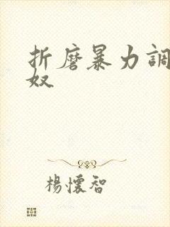 折磨暴力调教男奴