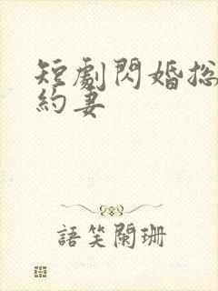 短剧闪婚总裁契约妻