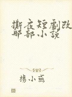 撕夜短剧改编自哪部小说