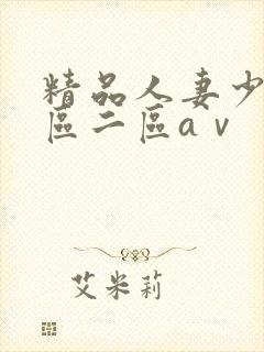 精品人妻少妇一区二区aⅴ