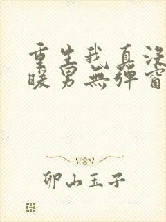 重生我真没想当暖男无弹窗