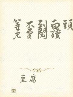 等不到白头全文免费阅读