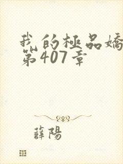我的极品娇妻 第407章