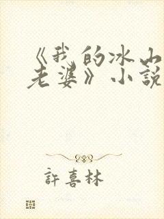《我的冰山总裁老婆》小说