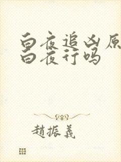 白夜追凶原著是白夜行吗