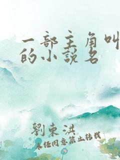 一部主角叫林天的小说名