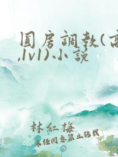 圆房调教(高h,1v1)小说