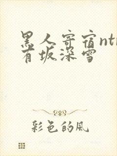 黑人寄宿ntr有坂深雪