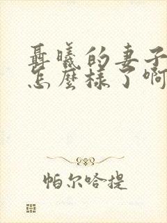 聂曦的妻子最后怎么样了啊