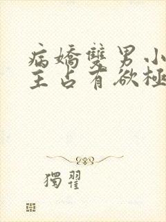 病娇双男小说男主占有欲极强