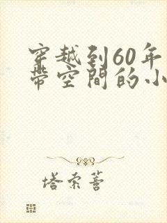 穿越到60年代带空间的小说