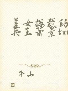 美女总裁的全能兵王萧晨txt