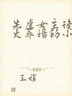 先虐女主后追妻火葬场的小说古言