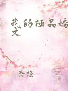 我的极品娇妻全文