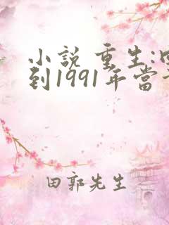 小说 重生:回到1991年当首富