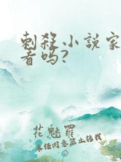 刺杀小说家2好看吗?